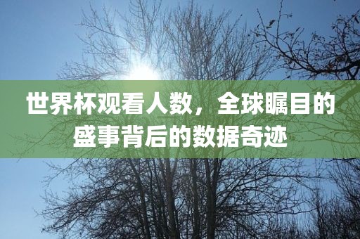 世界杯观看人数，全球瞩目的盛事背后的数据奇迹