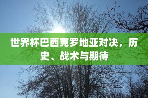 世界杯巴西克罗地亚对决，历史、战术与期待