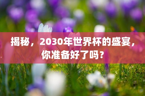 揭秘,2030年世界杯的盛宴,你准备好了吗?广州熙林手袋有限公司