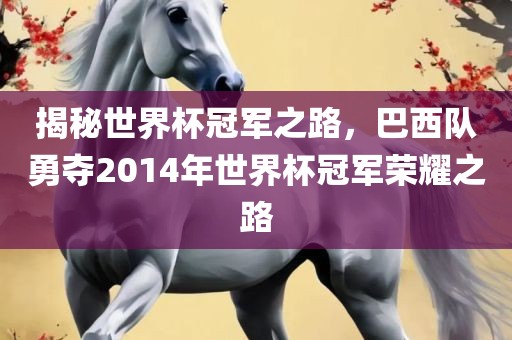 揭秘世界杯冠军之路，巴西队勇夺2014年世界杯冠军荣耀之路广州熙林手袋有限公司
