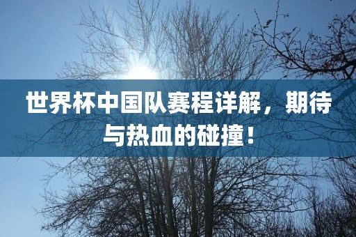 世界杯中国队赛程详解，期待与热血的碰撞！