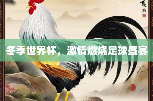 冬季世界杯，激情燃烧足球盛宴