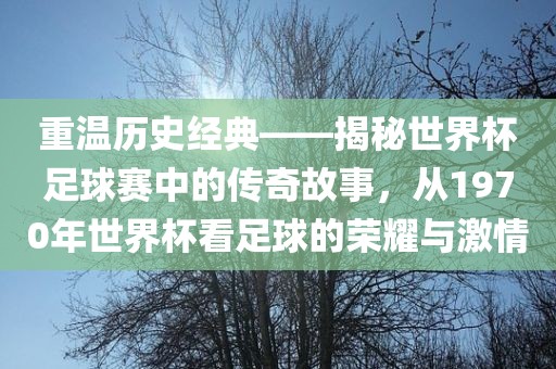 重温历史经典——揭秘世界杯足球赛中的传奇故事，从1970年世界杯看足球的荣耀与激情