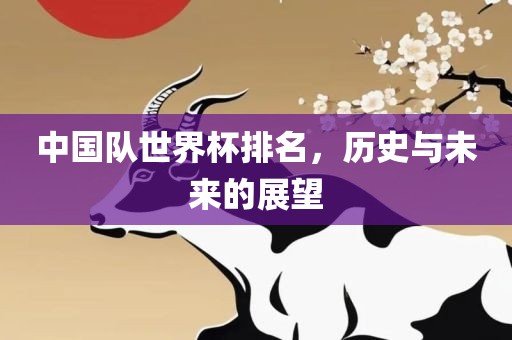 中国队世界杯排名，历史与未来的展望