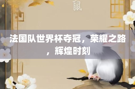 法国队世界杯夺冠,荣耀之路,辉煌时刻