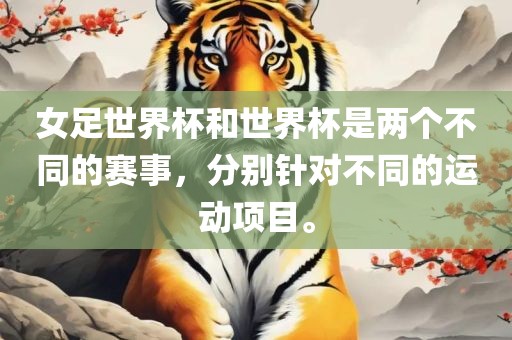 女足世界杯和世界杯是两个不同的赛事，分别针对不同的运动项目。