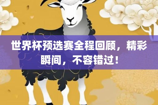 世界杯预选赛全程回顾，精彩瞬间，不容错过！