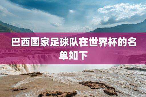 巴西国家足球队在世界杯的名单如下