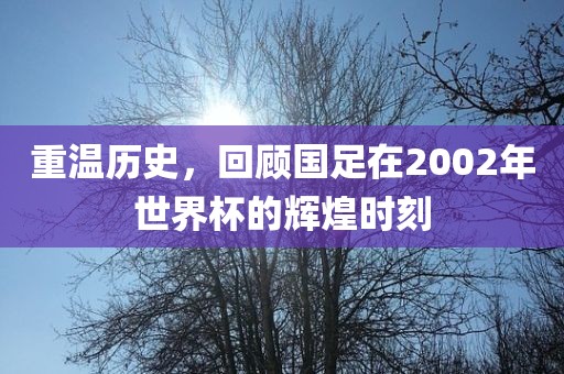 重温历史，回顾国足在2002年世界杯的辉煌时刻