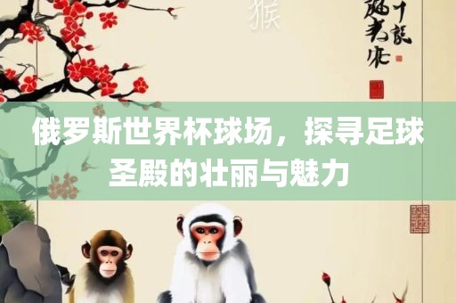 俄罗斯世界杯球场，探寻足球圣殿的壮丽与魅力