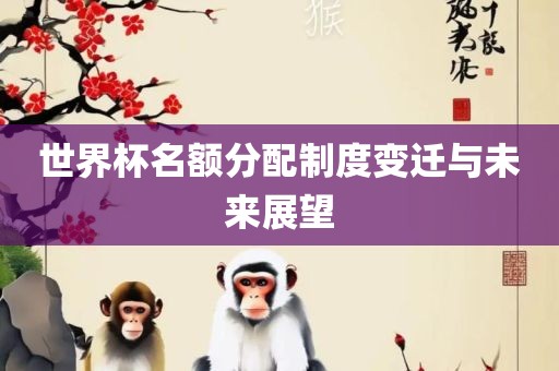 世界杯名额分配制度变迁与未来展望广州熙林手袋有限公司