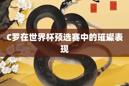 C罗在世界杯预选赛中的璀璨表现