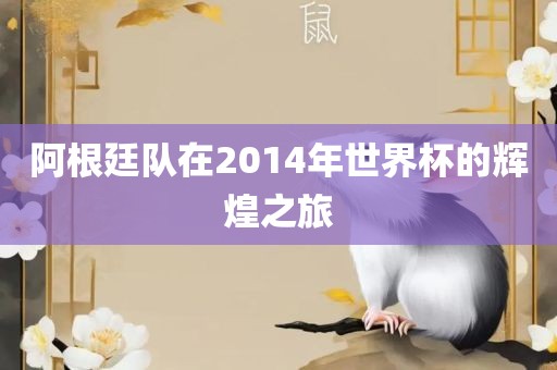 阿根廷队在2014年世界杯的辉煌之旅