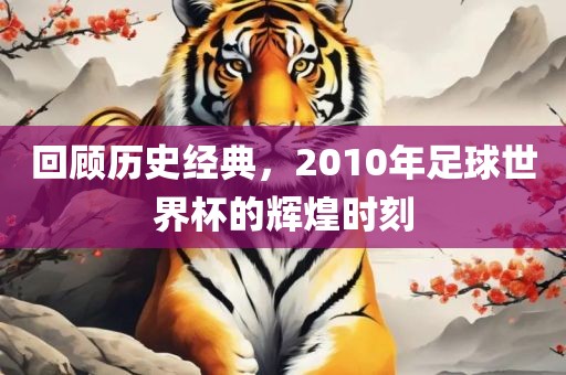 回顾历史经典，2010年足球世界杯的辉煌时刻