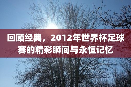 回顾经典，2012年世界杯足球赛的精彩瞬间与永恒记忆