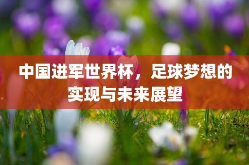 中国进军世界杯,足球梦想的实现与未来展望