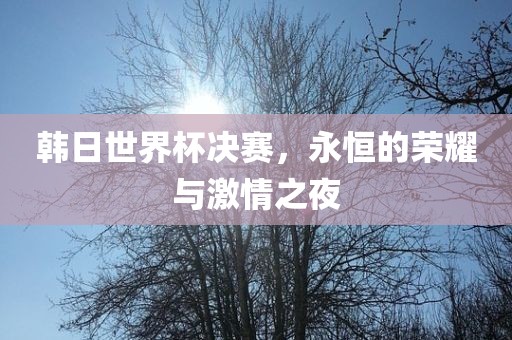 韩日世界杯决赛，永恒的荣耀与激情之夜