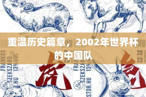 重温历史篇章,2002年世界杯的中国队广州熙林手袋有限公司
