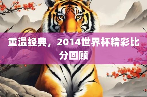 重温经典，2014世界杯精彩比分回顾