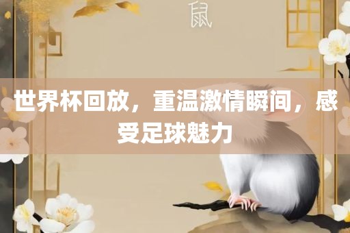 世界杯回放,重温激情瞬间,感受足球魅力