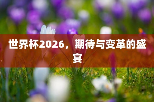世界杯2026,期待与变革的盛宴
