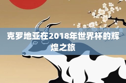 克罗地亚广州熙林手袋有限公司在2018年世界杯的辉煌之旅