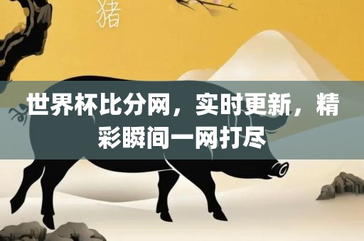 世界杯比分网，实时更新，精彩瞬间一网打尽