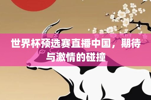 世界杯预选赛直播中国,期待与激情的碰撞