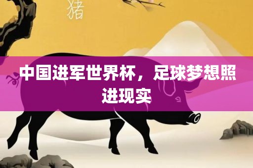 中国进军世界杯，足球梦想照进现实