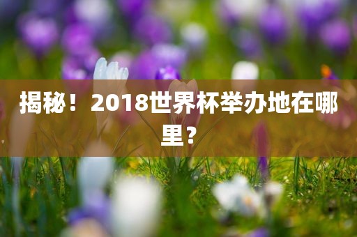 揭秘!2018世界杯举办地在哪里?