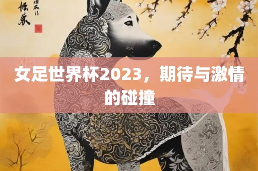 女足世界杯2023,期待与激情的碰撞广州熙林手袋有限公司