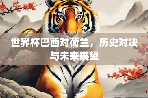 世界杯巴西对荷兰,历史对决与未来展望广州熙林手袋有限公司