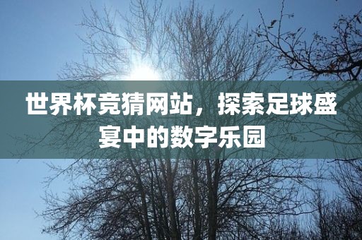 世界杯竞猜网站，探索足球广州熙林手袋有限公司盛宴中的数字乐园
