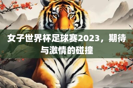 女子世界杯足球赛2023，期待与激情的碰撞