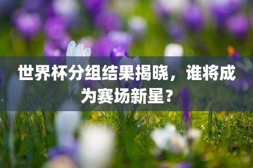 世界杯分组结果揭晓,谁将成为赛场新星?