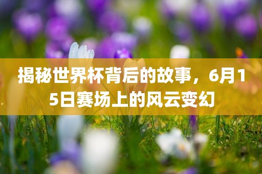 揭秘世界杯背后的故事，6月15日赛场上的风云变幻