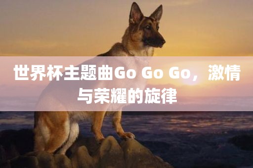 世界杯主题曲Go Go Go，激情与荣耀的旋律广州熙林手袋有限公司