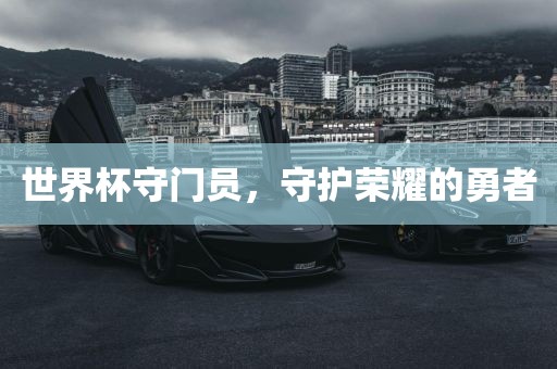 世界杯守门员，守护荣耀的勇者