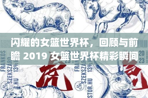 闪耀的女篮世界杯，回顾与前瞻 2019 女篮世界杯精彩瞬间