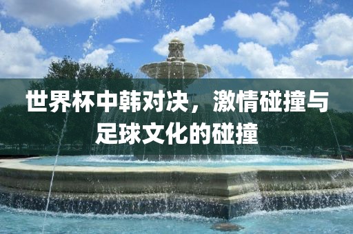 世界杯中韩对决，激情碰撞与足球文化的碰撞