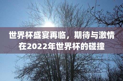 世界杯盛宴再临,期待与激情在2022年世界杯的碰撞广州熙林手袋有限公司