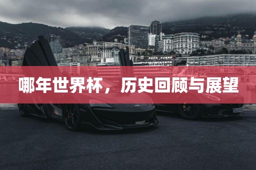 哪年世界杯,历史回顾与展望