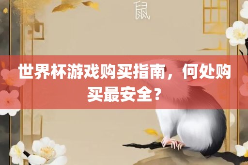 世界杯游戏购买指南，何处购买最安全？