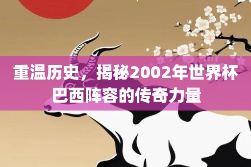 重温历史，揭秘2002年世界杯巴西阵广州熙林手袋有限公司容的传奇力量