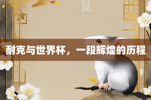 耐克与世界杯,一段辉煌的历程