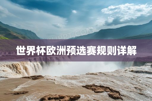 世界杯欧洲预选赛规则详解广州熙林手袋有限公司