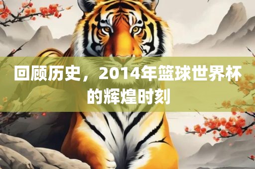 回顾历史，2014年篮球世界杯的辉煌时刻