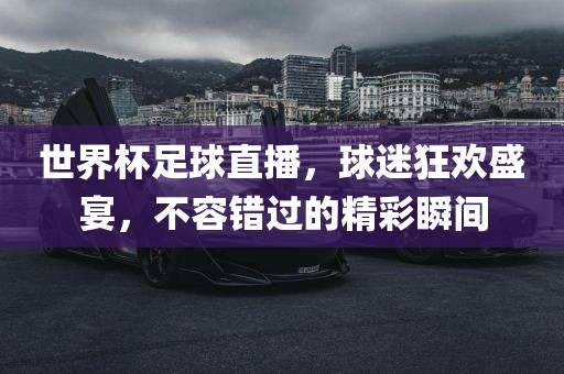 世界杯足球直播，球迷狂欢盛宴，不容错过的精彩瞬间