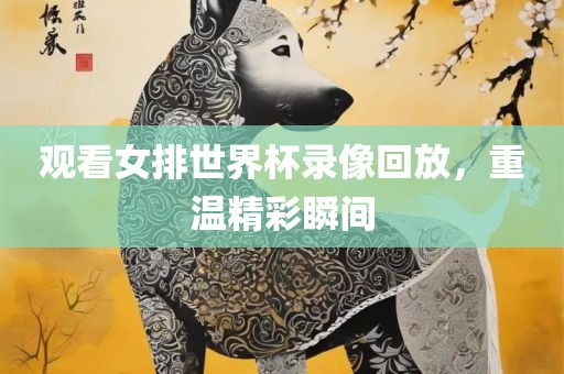 观看女排世界杯录像回放,重温精彩瞬间