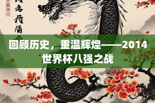 回顾历史,重温辉煌——2014世界杯八强之战